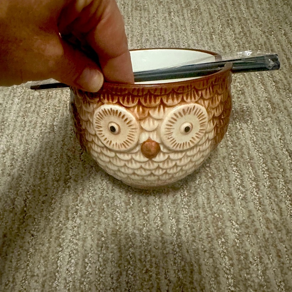 Owl Bowl with Chopsticks